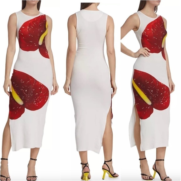 LOEWE Anthurium Print Tank Midi Dress - Picture 1 of 15